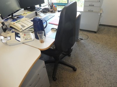 Los 37 - Freiformschreibtisch