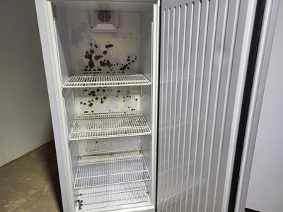 Los 60 - Kühlschrank