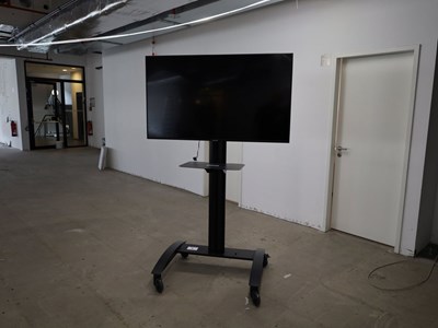 Los 1 - 55"-Fernseher auf TV-Rollgestell