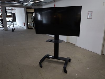 Los 2 - 65"-Fernseher auf TV-Rollgestell