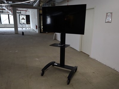 Los 5 - 55"-Fernseher auf TV-Rollgestell