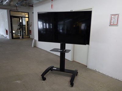 Los 6 - 65"-Fernseher auf TV-Rollgestell