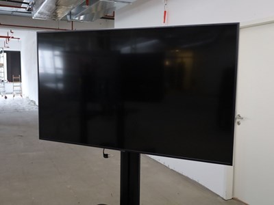 Los 8 - 65"-Fernseher auf TV-Rollgestell