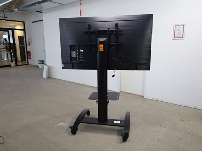 Los 8 - 65"-Fernseher auf TV-Rollgestell