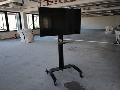 Los 526 - 55"-Fernseher auf TV-Rollgestell