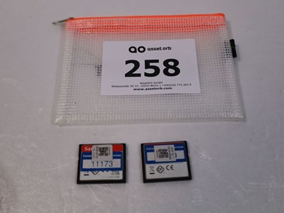 Los 258 - Speicherkarte (2x)