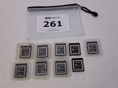 Los 261 - Posten Speicherkarten
