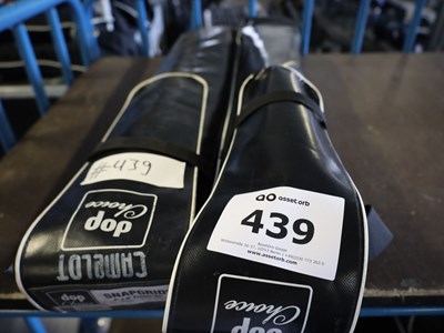 Los 439 - DoP Choice Snapgrid (2x)