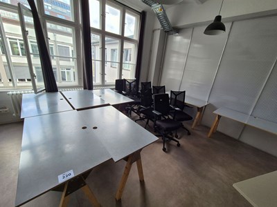 Los 220 - Schreibtische (9x)