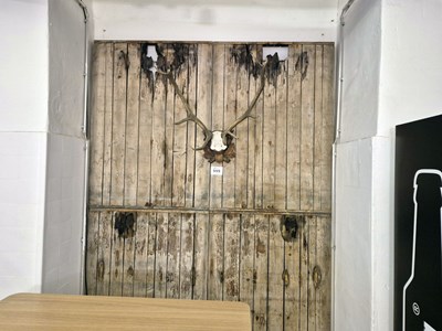 Los 595 - Posten Wanddeko