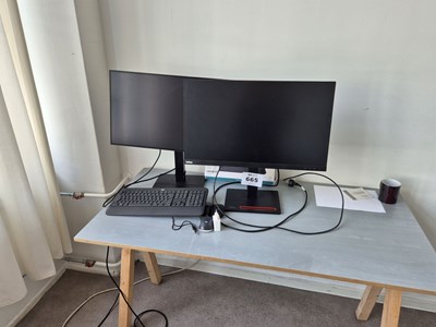 Los 665 - 27"-Monitore (2x)