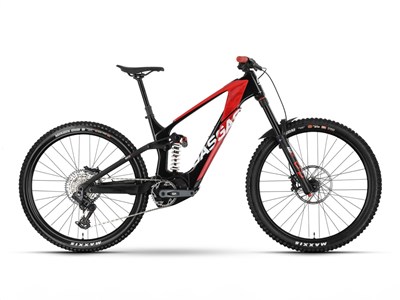 Los 13 - Elektro-Fahrrad / E-Fully