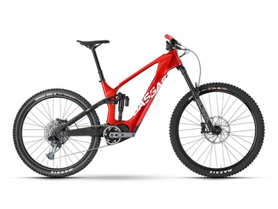 Los 38 - Elektro-Fahrrad / E-Fully
