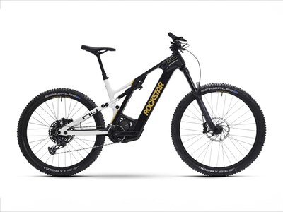 Los 43 - Elektro-Fahrrad / E-Fully