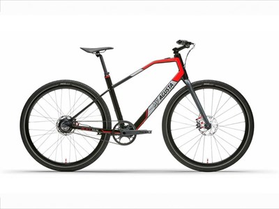 Los 62 - Elektro-Fahrrad / E-Hardtail