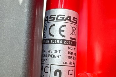 Los 99 - Elektro-Fahrrad / E-Urban Cruiser