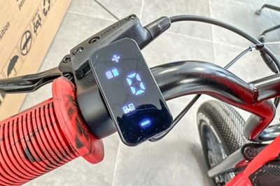 Los 99 - Elektro-Fahrrad / E-Urban Cruiser