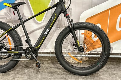 Los 104 - Elektro-Fahrrad / E-Hardtail