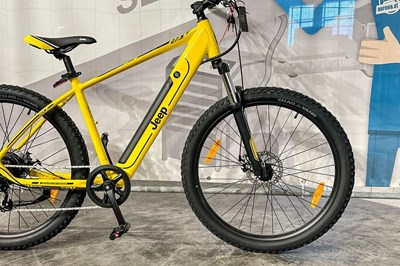 Los 110 - Elektro-Fahrrad / E-Hardtail