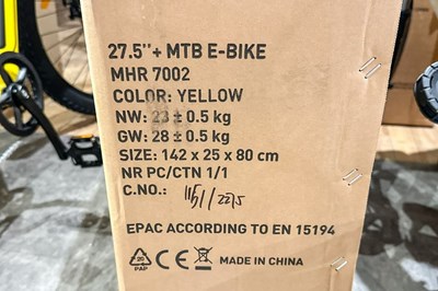 Los 111 - Elektro-Fahrrad / E-Hardtail