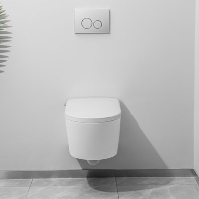 Los 31 - Intelligentes Dusch-Wand-WC