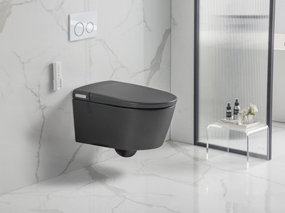 Los 42 - Intelligentes Dusch-Wand-WC