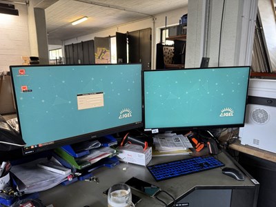 Los 359 - Monitore an Doppelarmhalterung (2x)