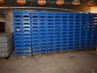 Los 14 - Stapelboxen (576x)