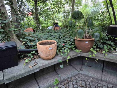 Los 280 - Posten Topfplanzen