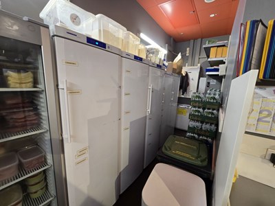 Los 90 - Gastro-Gefrierschrank