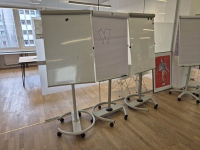 Los 38 - Flipcharts auf Rollen (3x)