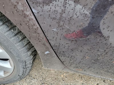 Los 1 - Pkw / Mehrzweckfahrzeug