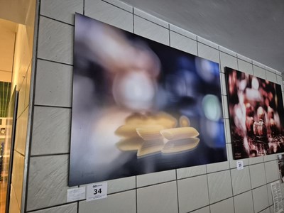 Los 34 - Fotoabzug unter mattem Acrylglas