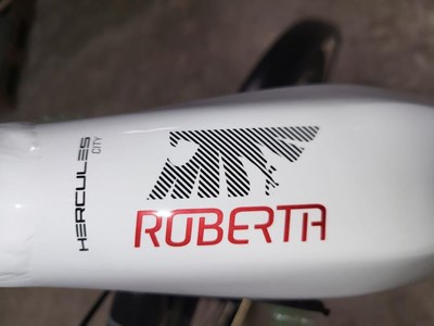 Los 32 - E-Bike HERCULES Robert/a Deluxe I-F8