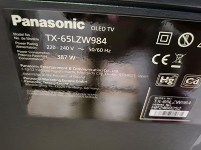 Los 300 - Fernseher Panasonic TX-65LZW984
