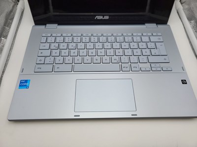 Los 250 - Notebook Asus Flip CM3 CX3400FMA-E10026