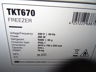 Los 320 - Gefriertruhe mit Klappdeckel GGG TKT670