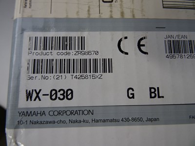 Los 5 - Wlan-Spieler Yamaha WX030