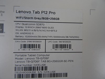 Los 98 - Tablet-PC Lenovo Tab P12 Pro grau