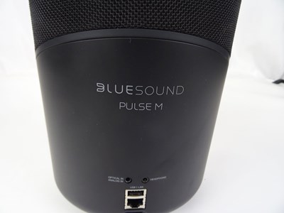 Los 188 - Lautsprecher Bluesound Pulse M